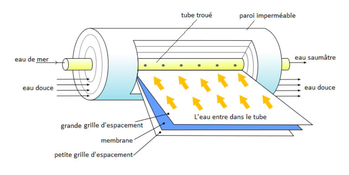 membrane semi perméable.jpg