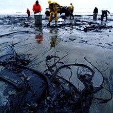 oil spill.jpg